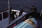 Vessel Checks by Maine Department of Sea and Shore Fisheries