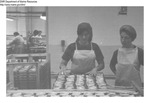 Women Working At a Seafood Cannery by Maine Department of Marine Resources