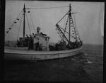 Rockland Seafood Festival, 1958 - Aboard Lobster Boat by Maine Department of Sea and Shore Fisheries