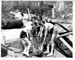 Alewife Festival, Damariscotta 1957 by Maine Department of Sea and Shore Fisheries