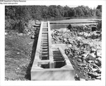 Pitcher Pond Lincolnville Oct 77 by Maine Department of Marine Resources