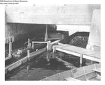 Winnegance Lake Fishway by Maine Department of Marine Resources
