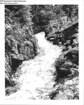 Saco Falls upper part of fishway