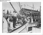 Rockland Seafood Festival 1956 by Maine Department of Sea and Shore Fisheries