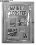 Seafood Festivals 1960 - 1962 by Maine Department of Sea and Shore Fisheries