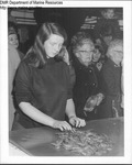 Lincoln County Shrimp Festival, Boothbay Harbor, 1974 by Maine Department of Sea and Shore Fisheries