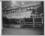 Eastern States Exposition 1960-1965 - Maine Exhibit by Maine Department of Sea and Shore Fisheries