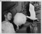 Eastern States Exposition 1960-1965 - Cotton Candy