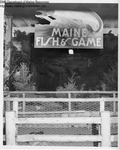 Eastern States Exposition 1960-1965 - Maine Fish and Game Exhibit by Maine Department of Sea and Shore Fisheries