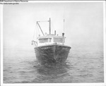 Clams General - Explorer by Maine Department of Sea and Shore Fisheries