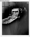 Clams And Diggers 1977 - Clam Cleanser At Seafair Inc Facility by Maine Department of Sea and Shore Fisheries