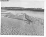 Clams - Clam Flat Geology Wells 9-1953 by Maine Department of Sea and Shore Fisheries
