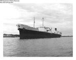 Cargo Vessel / Freighter "Andros Fortune" by Department of Marine Resources