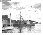 Dragger "Santa Lucia" at Wharf in Maine by Department of Marine Resources