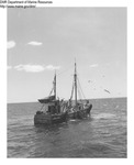Dragger "Santa Lucia" Hauling in a Net at Sea by Department of Marine Resources