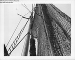 View of a Net on a Dragger by Department of Marine Resources