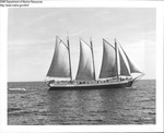 Three Mast Sailing Vessel by Department of Marine Resources