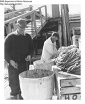 Men Working at a Wharf Possibly Repairing Gear by Department of Marine Resources
