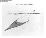 Image of Atlantic Otter Trawl Submerged by Department of Marine Resources