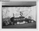 Liquor Store Display by Maine Department of Sea and Shore Fisheries