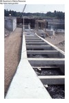West Enfield Fishway, Lowry End, July 8, 1988