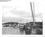 Shipyard Stonington, Maine by Department of Sea and Shores Fisheries