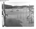 Harbor, Maine by Department of Sea and Shores Fisheries