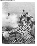 Lobster Bake - Family on Shore by Maine Department of Marine Resouces