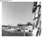 Winter Scene New Harbor, Maine January 1969 by Department of Sea and Shores Fisheries