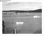 Harbor Scene Lubec, Maine September 5, 1957