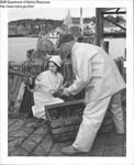 Lobstering Boothbay Harbor, Maine by Department of Sea and Shores Fisheries