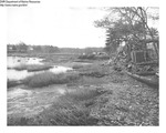 Stream Survey Arrowsic Sasanoa River, Maine