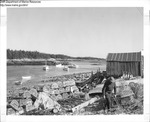 Lobster Boats in Harbor by Maine Department of Marine Resouces