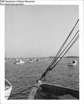 Lobster Boats - Cape Porpoise, Maine by Maine Department of Marine Resouces