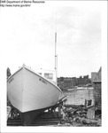 Fishing Vessels in Harbor by Maine Department of Marine Resouces