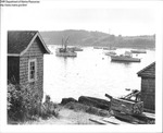 Harbor Scene by Maine Department of Marine Resouces