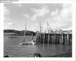 Harbor Scene, Cutler, Maine by Maine Department of Marine Resouces