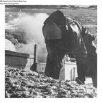 Shrimp Harvesting by Maine Department of Marine Resouces