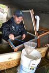 Boothbay Harbor elver research by Jeff Nichols