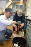 Elver Research Boothbay Harbor - 2013 by Jeff Nichols