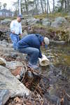 Elver Research Boothbay Harbor - 2013 by Jeff Nichols