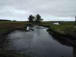 MCP Site 160 - Bridge with Abutments, Webhannet River, Wells, Maine