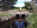 MCP Site 225 - Round Culvert, TRIB of Goosefare Brook, Biddeford, Maine
