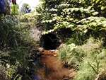 MCP Site 283 - Round Culvert, Unspecified Waterbody, Kennebunkport, Maine