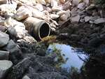 MCP Site 330 - Round Culvert, Higgins Creek, Scarborough, Maine