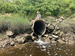 MCP Site 410 - Round Culvert, Drummore Bay, Phippsburg, Maine