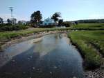 MCP Site 467 - Culvert, Snake River, Biddeford, Maine