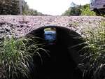 MCP Site 620 - Elliptical Culvert, Maquoit Bay, Brunswick, Maine