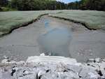 MCP Site 626 - Elliptical Culvert, Mill Cove, Harpswell, Maine