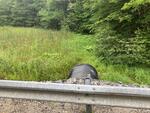 MCP Site 635 - Round Culvert, Middle Bay, Brunswick, Maine